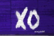 国产xoxo,探索中国原创潮流文化的新篇章