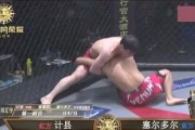 中国猛男大鸡男男,揭秘当代男性力量与魅力的新标杆